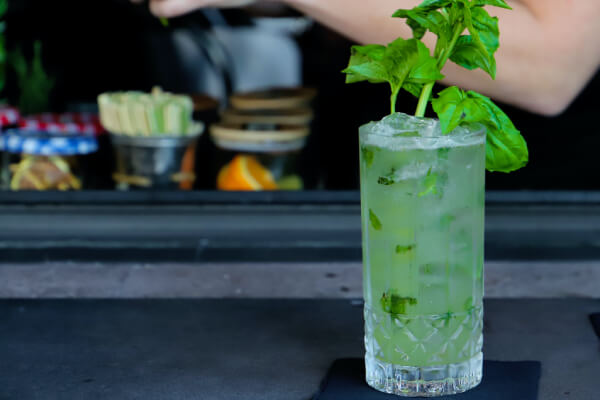 mint cocktail