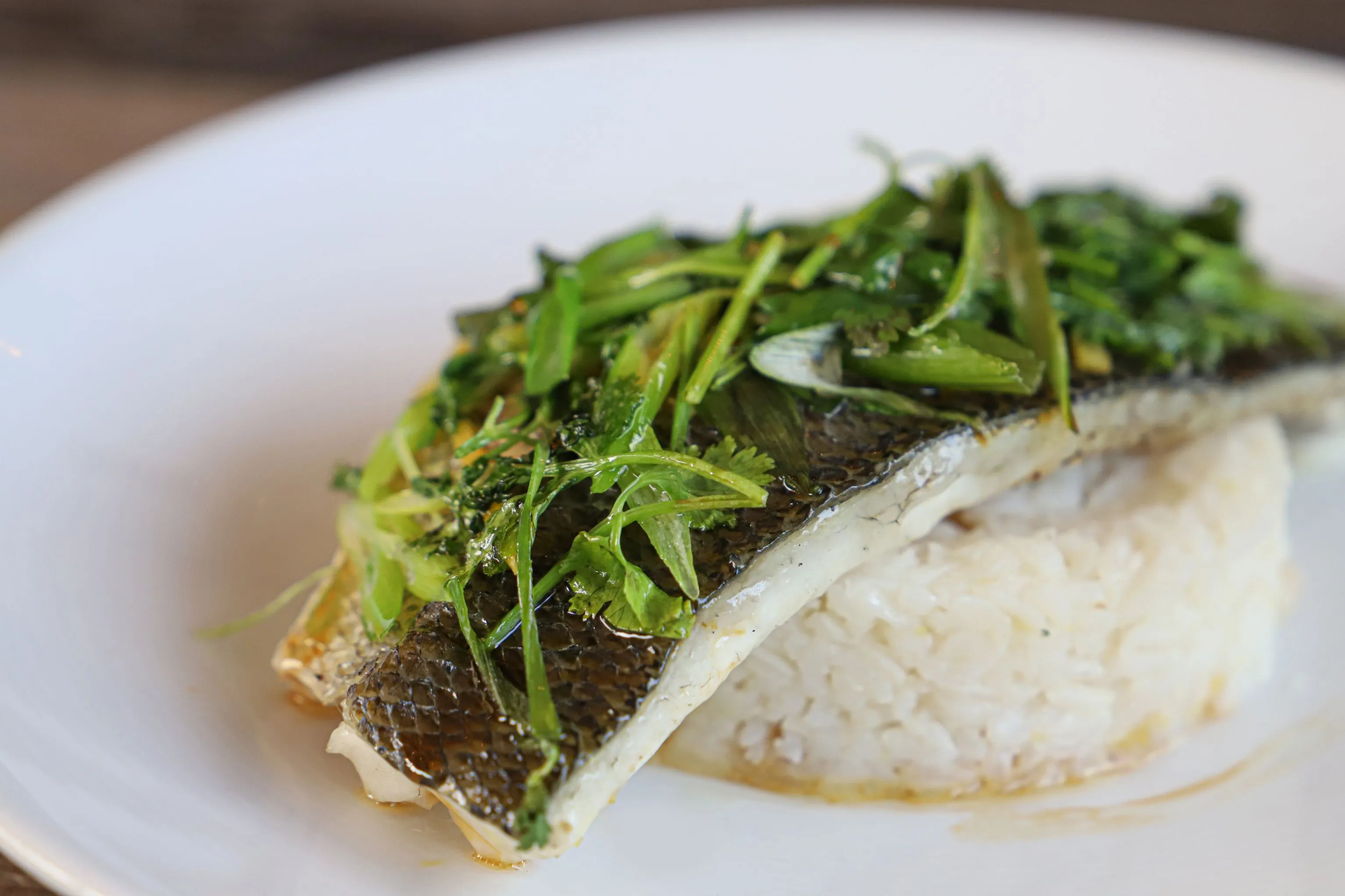 Roasted Fish Served Over Rice & Topped with Fresh Herbs